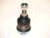 ASHIKA 73-01-101 Ball Joint